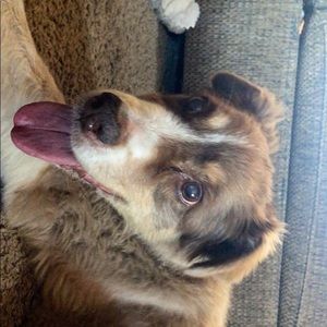 Meet your Posher, Sophie